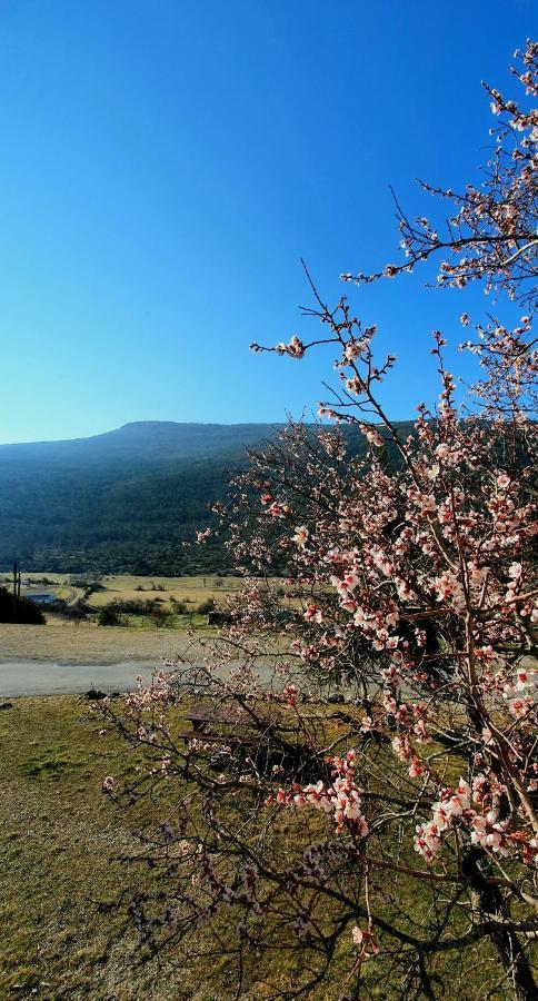 Auberge Collective Cozy&Family La Palud-sur-Verdon Ngoại thất bức ảnh
